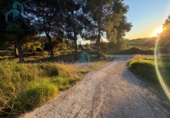 Land suitable for development for sale on España, el Vendrell, ref: TR360813 photo