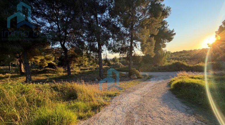 Tarragona - el Vendrell - 835m2