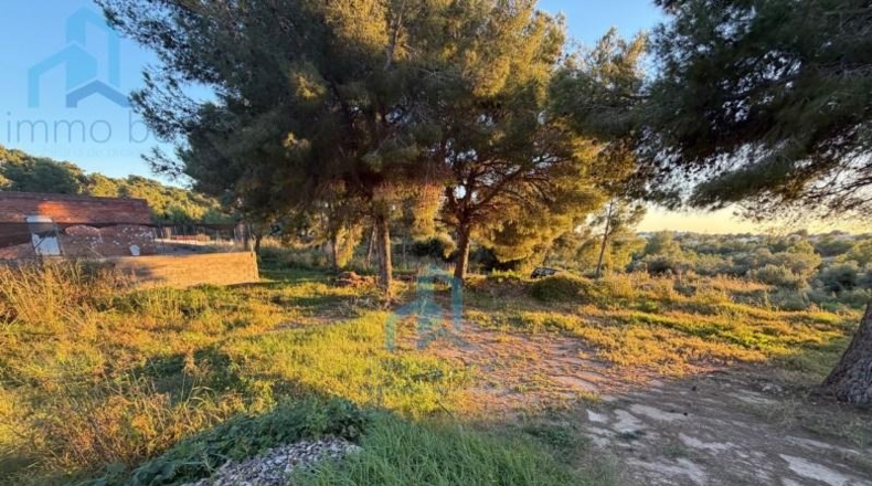 Tarragona - el Vendrell - 835m2