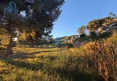 Land suitable for development for sale on España, el Vendrell, ref: TR360813 photo