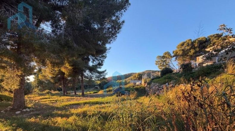 Tarragona - el Vendrell - 835m2