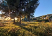 Land suitable for development for sale on España, el Vendrell, ref: TR360813 photo