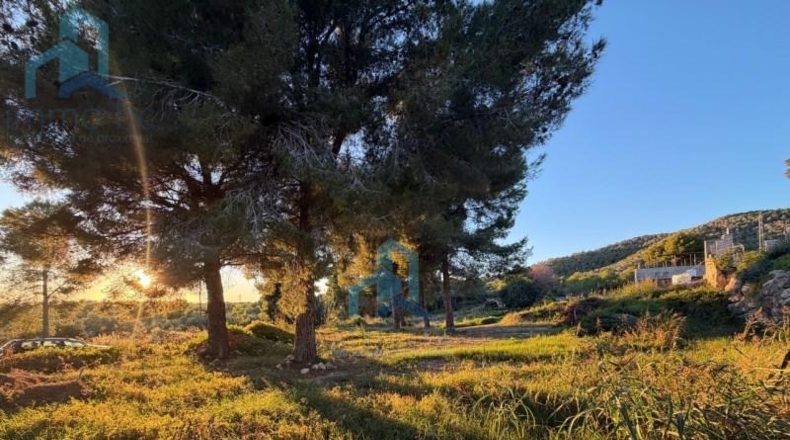 Tarragona - el Vendrell - 835m2