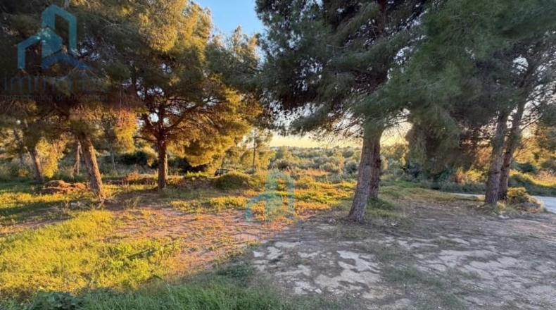 Tarragona - el Vendrell - 835m2