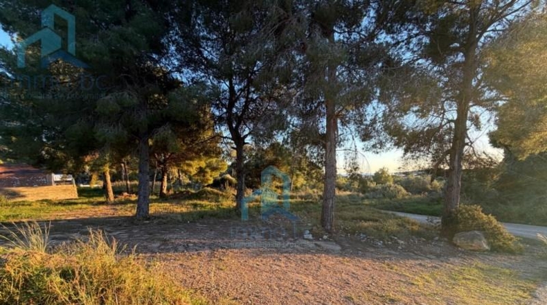 Tarragona - el Vendrell - 835m2