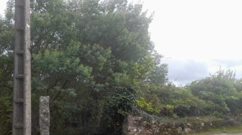 Pontevedra - Vilagarcía - 687m2