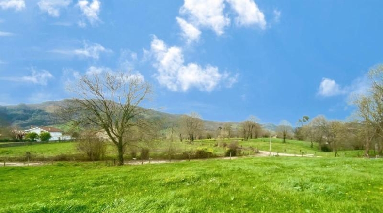 Cantabria - Santiurde de Toranzo - 8187m2