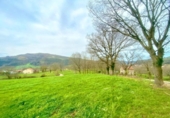 Non-developable land for sale on España, Santiurde de Toranzo, ref: TR405605 photo