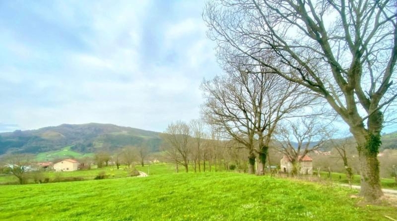 Cantabria - Santiurde de Toranzo - 8187m2