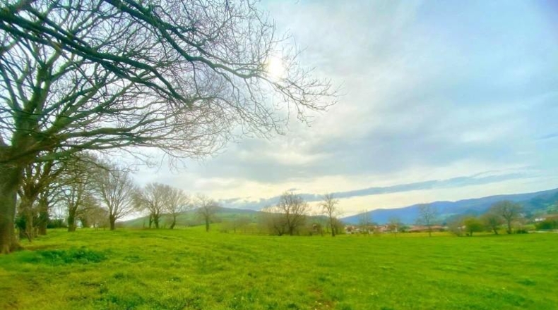 Cantabria - Santiurde de Toranzo - 8187m2