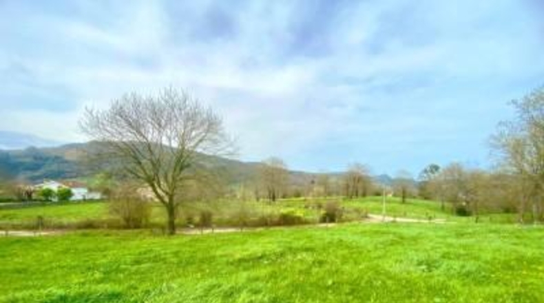 Cantabria - Santiurde de Toranzo - 8187m2