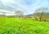 Non-developable land for sale on España, Santiurde de Toranzo, ref: TR405605 photo