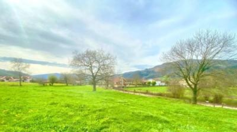 Cantabria - Santiurde de Toranzo - 8187m2