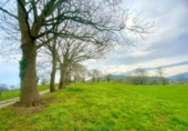 Non-developable land for sale on España, Santiurde de Toranzo, ref: TR405605 photo