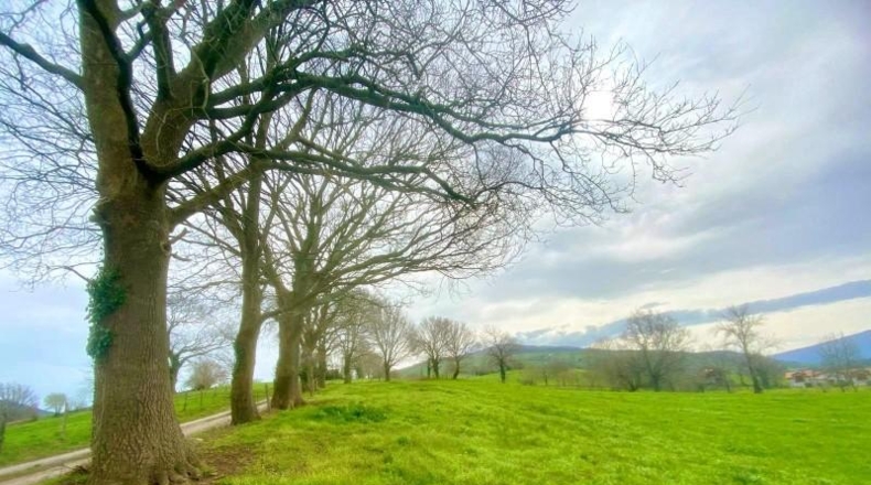 Cantabria - Santiurde de Toranzo - 8187m2