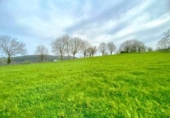 Non-developable land for sale on España, Santiurde de Toranzo, ref: TR405605 photo