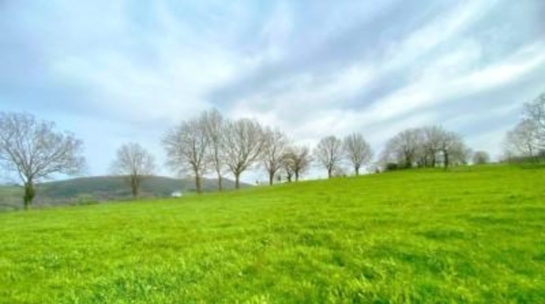 Cantabria - Santiurde de Toranzo - 8187m2