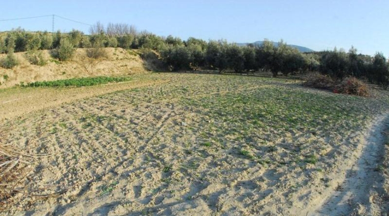 Granada - Villa de Otura - 7750m2