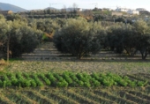 Земля на продажу у города Villa de Otura Фото