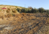 Земля на продажу у города Villa de Otura Фото