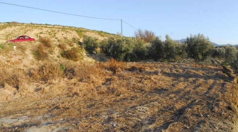 Granada - Villa de Otura - 7750m2