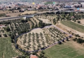 Земля на продажу у города Villa de Otura Фото