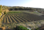 Земля на продажу у города Villa de Otura Фото