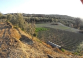Земля на продажу у города Villa de Otura Фото