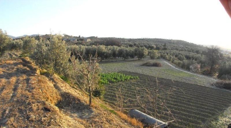 Granada - Villa de Otura - 7750m2