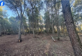 Roquetes 15000&nbsp;м²