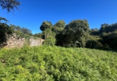 Xalet independent amb terreny en venda a Malpica ref.: TR344999 foto