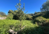 Xalet independent amb terreny en venda a Malpica ref.: TR344999 foto