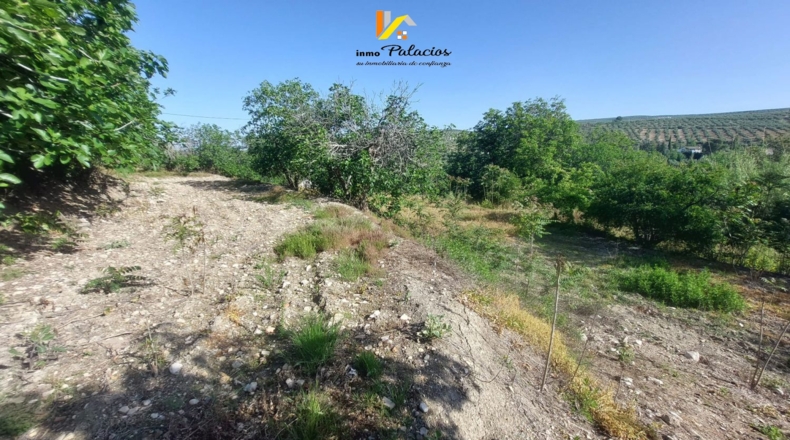 Jaén - Quesada - 4200m2