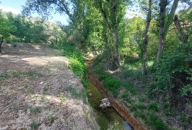 Foto 15