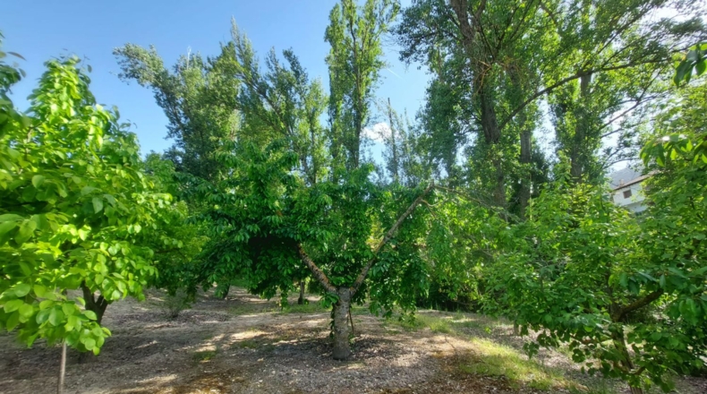 Jaén - Orcera - 6000m2