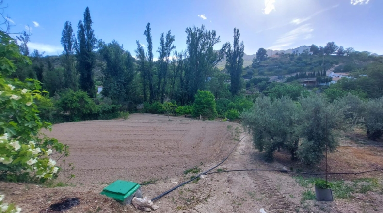 Jaén - Orcera - 6000m2