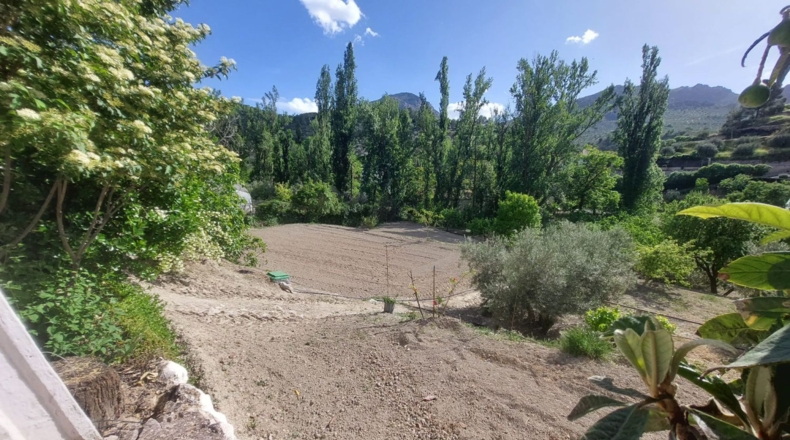 Jaén - Orcera - 6000m2