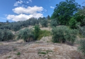 Masia with land for sale in Orcera ref: TR405629 photo