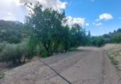 Masia with land for sale in Orcera ref: TR405629 photo