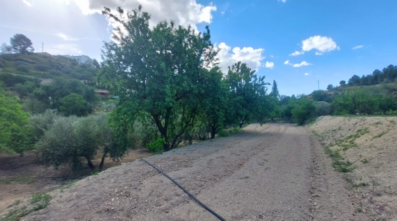 Jaén - Orcera - 6000m2