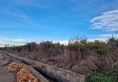 Finca rústica en venta en Almassora ref: TR405634 foto