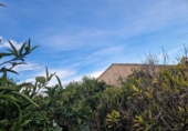 Finca rústica en venta en Almassora ref: TR405634 foto