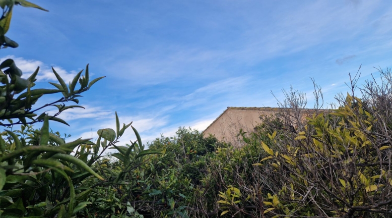 Castellón - Almassora - 6310m2