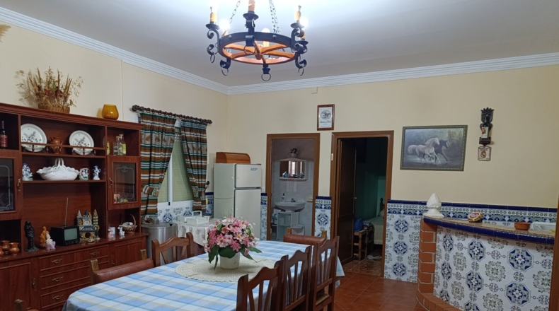 Ciudad Real - Valdepeñas - 15000m2