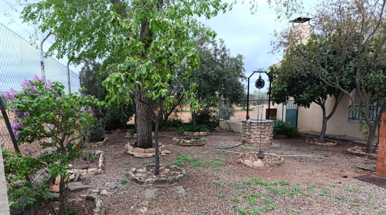 Ciudad Real - Valdepeñas - 15000m2
