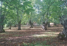 Los Marines 10000&nbsp;m²