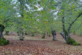 Los Marines 10000&nbsp;m²