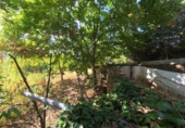 Rural estate for sale in Castaño del Robledo ref: TR405642 photo