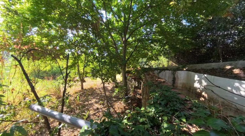Huelva - Castaño del Robledo - 8000m2
