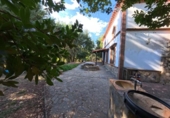 Rural estate for sale in Castaño del Robledo ref: TR405642 photo